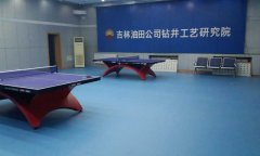 吉林省松原市寧江區乒乓球地膠